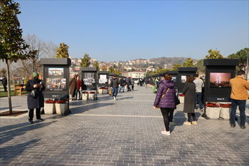 Beykoz Belediyesi Fototoğraf Yarışması Ödül Töreni 11  (4).jpg